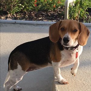 Meet your Posher, James